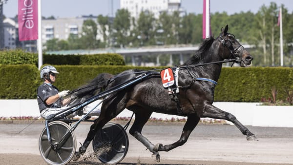 Foto: LENA EMMOTH / TR BILD