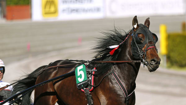 Foto: MARIA HOLMÉN / TR BILD