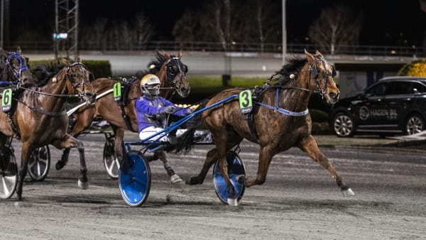 Foto: HESTEGUIDEN.COM