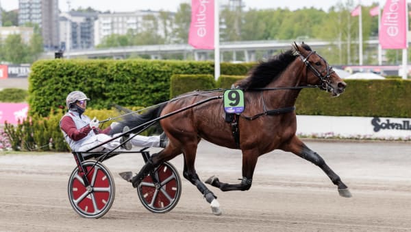 Foto: LENA EMMOTH / TR BILD