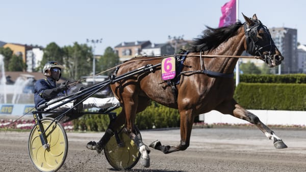Foto: LENA EMMOTH / TR BILD