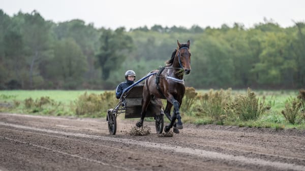 Foto: THOMAS BLOMQVIST / TR BILD