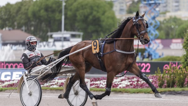 Foto: LENA EMMOTH / TR BILD