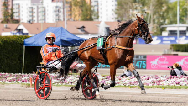 Foto: LENA EMMOTH / TR BILD