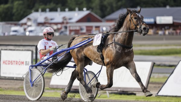 Foto: LENA EMMOTH / TR BILD