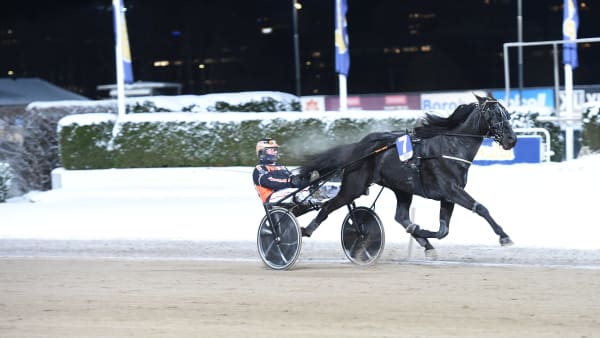 Foto: LARS JAKOBSSON / TR BILD