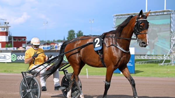 Foto: MARIA HOLMÉN / TR BILD