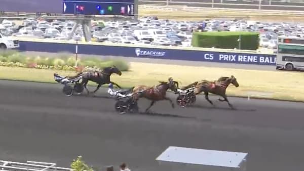 Foto: Skärmdump LeTrot.