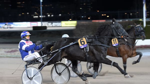 Foto: LARS JAKOBSSON / TR BILD