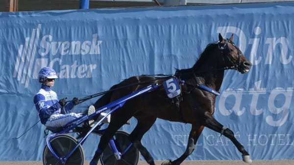 Foto: LARS JAKOBSSON / TR BILD