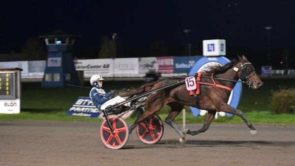 Foto: LARS JAKOBSSON / TR BILD