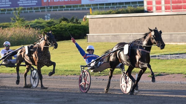 Foto: LARS JAKOBSSON / TR BILD