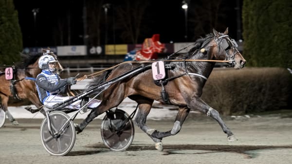 Foto: LENA EMMOTH / TR BILD