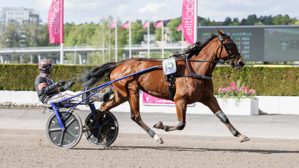 Foto: LENA EMMOTH / TR BILD