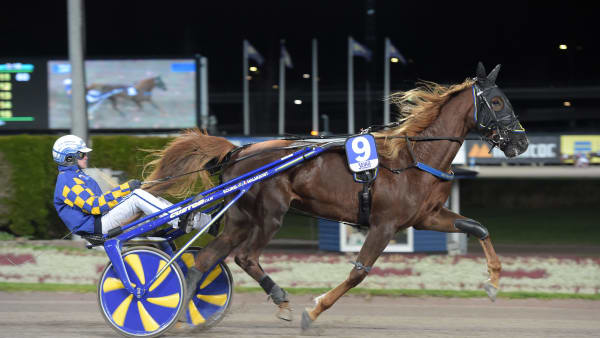 Foto: LARS JAKOBSSON / TR BILD
