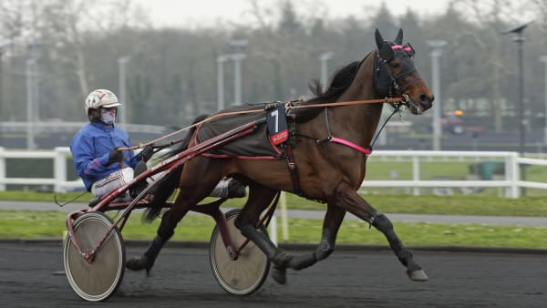 Foto: Jean-Luc Lamaère | Le Trot