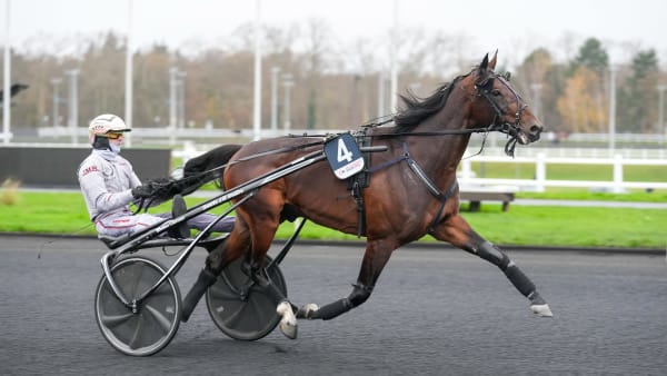 Foto: THOMAS BLOMQVIST / TR BILD