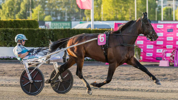 Foto: LENA EMMOTH / TR BILD