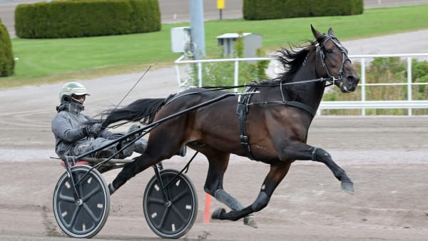 Foto: LARS JAKOBSSON / TR BILD