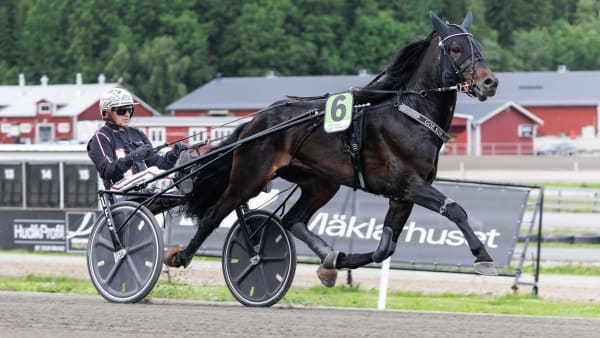 Foto: LENA EMMOTH / TR BILD