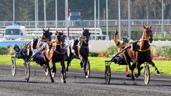 Foto: © Jean-Luc Lamaère -TRBild