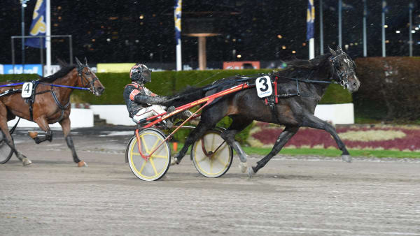 Foto: LARS JAKOBSSON / TR BILD