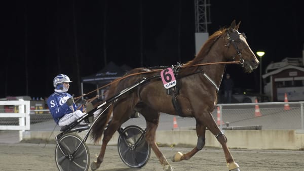 Foto: LARS JAKOBSSON / TR BILD