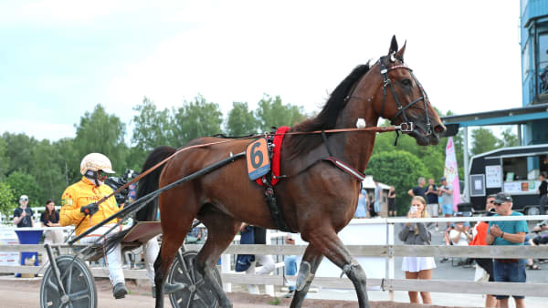 Foto: MARIA HOLMÉN / TR BILD