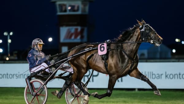 Foto: LENA EMMOTH / TR BILD