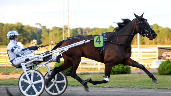 Foto: MALIN ALBINSSON / TR BILD