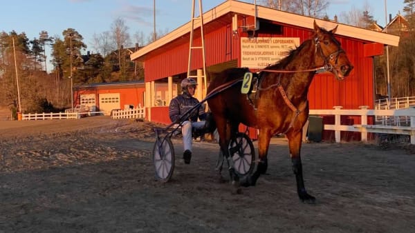 Foto: DENNIS ENGELBO/TR BILD