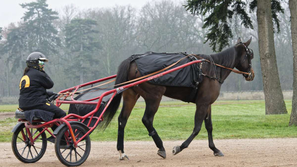 Foto: JEAN-LUC LAMAÈRE