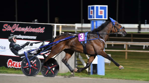 Foto: MALIN ALBINSSON / TR BILD