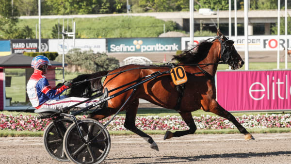 Foto: LENA EMMOTH / TR BILD