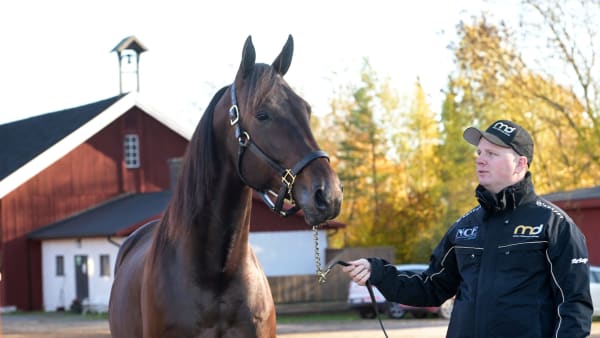 Foto: LARS JAKOBSSON / TR BILD
