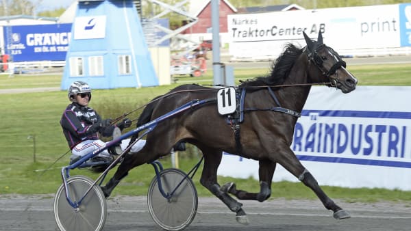 Foto: LARS JAKOBSSON / TR BILD