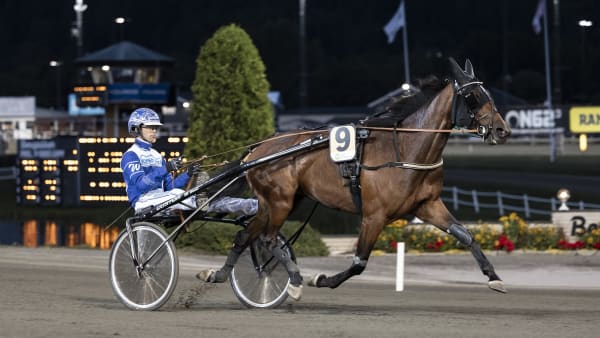 Foto: LENA EMMOTH / TR BILD