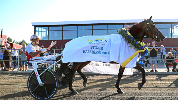 Foto: MARIA HOLMÉN / TR BILD