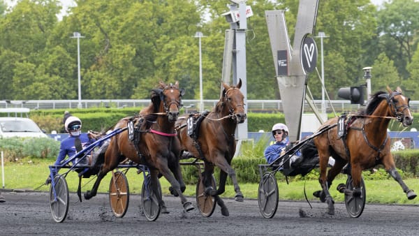 Foto: Jean-Luc Lamaère-LeTROT.