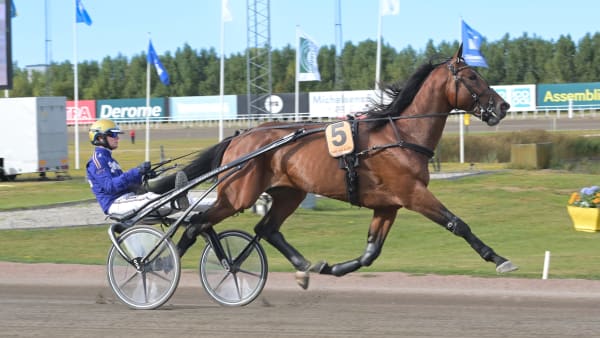 Foto: LARS JAKOBSSON / TR BILD