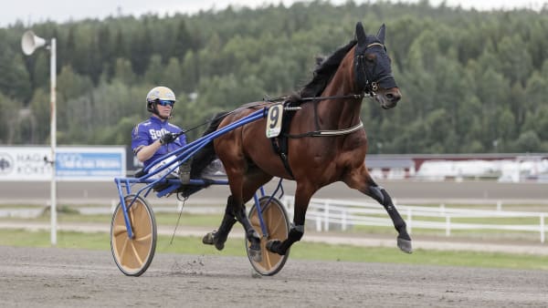 Foto: LENA EMMOTH / TR BILD