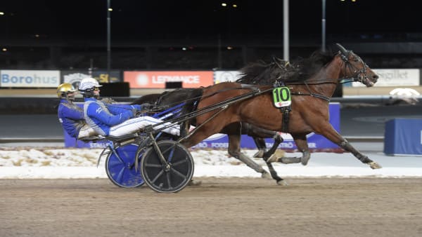 Foto: LARS JAKOBSSON / TR BILD