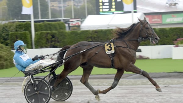 Foto: LARS JAKOBSSON / TR BILD