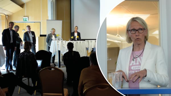 Foto: Lars Jakobsson/TR Bild/Montage