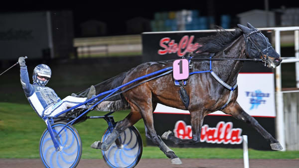 Foto: MALIN ALBINSSON / TR BILD