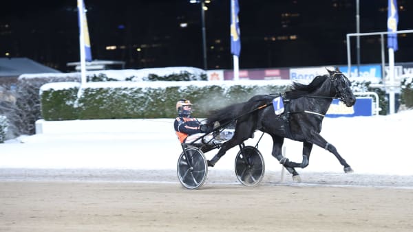 Foto: LARS JAKOBSSON / TR BILD