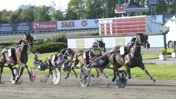 Foto: LARS JAKOBSSON / TR BILD