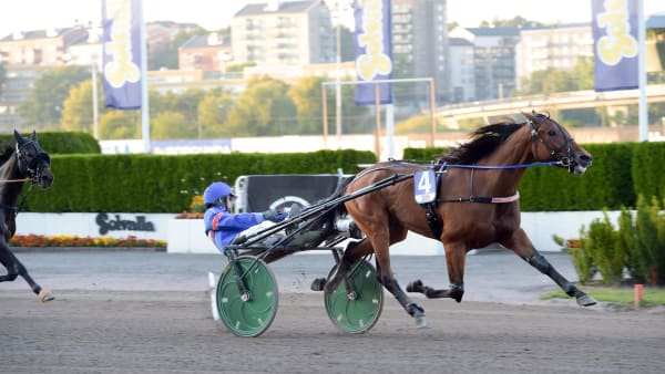 Foto: LARS JAKOBSSON / TR BILD