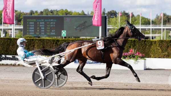 Foto: LENA EMMOTH / TR BILD