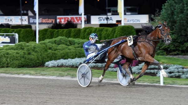 Foto: LARS JAKOBSSON / TR BILD